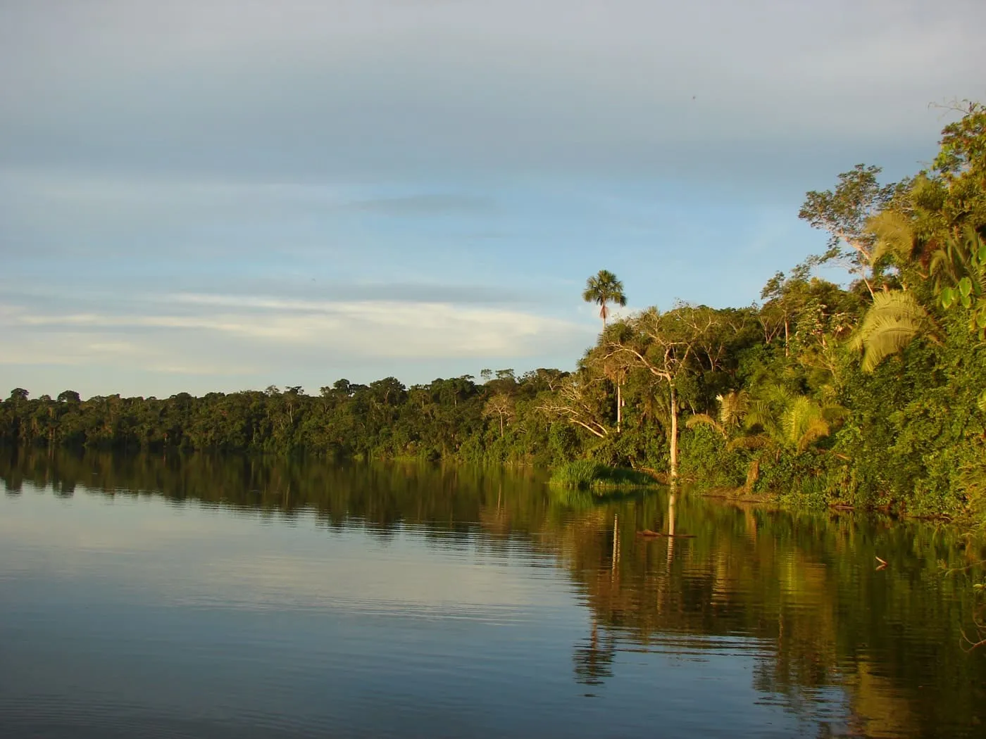 Selva Tropical – Posada Amazonas 4 días 2